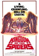 Kingdom of the Spiders poster image