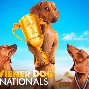 Wiener Dog Nationals Rotten Tomatoes
