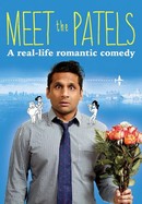 Meet the Patels poster image