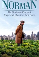 Norman: The Moderate Rise and Tragic Fall of a New York Fixer poster image