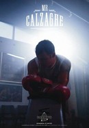 Mr Calzaghe poster image