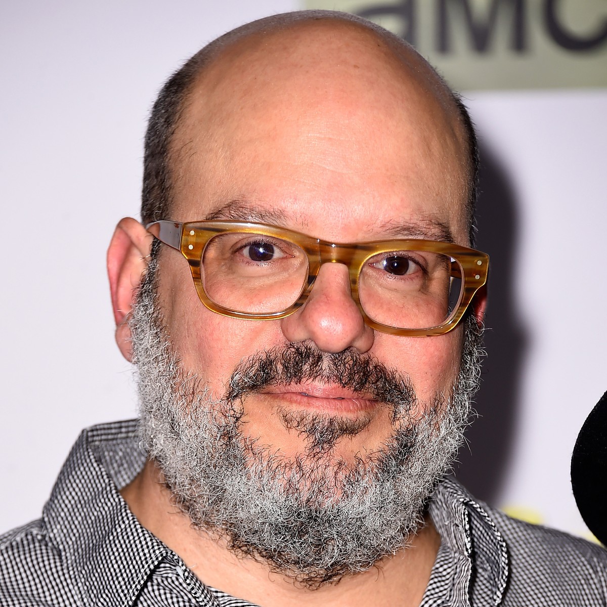 Jon Benjamin Has A Van Rotten Tomatoes