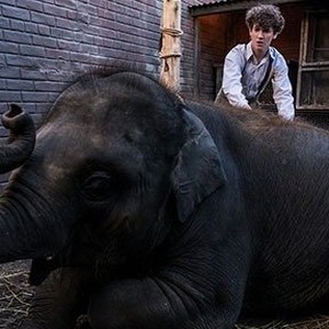 A scene from "Zoo." photo 6
