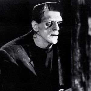 Frankenstein (1931) photo 8