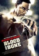 Blood and Bone poster image
