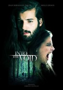 Into the Void poster image