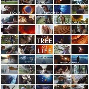 "The Tree of Life photo 15"