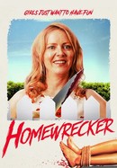 Homewrecker poster image