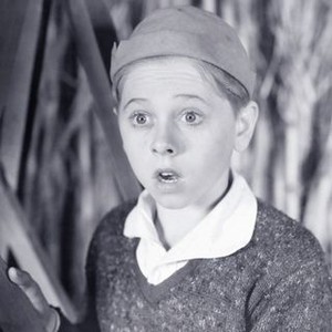 The Lost Jungle (1934) photo 10