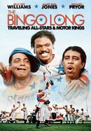 The Bingo Long Traveling All-Stars and Motor Kings poster image