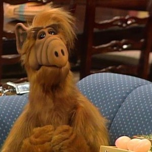 ALF: Season 1, Episode 13 - Rotten Tomatoes