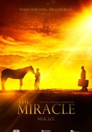 The Miracle poster image