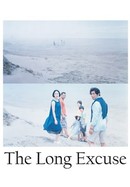 The Long Excuse poster image