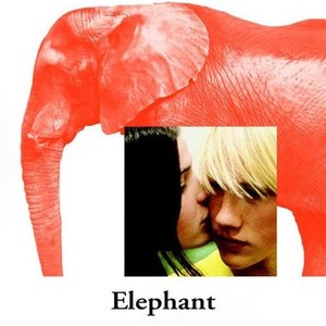 "Elephant photo 1"
