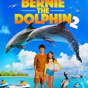 Bernie the Dolphin 2 photo 2