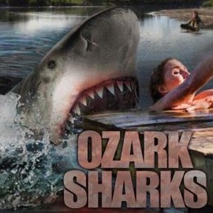 Ozark Sharks photo 4
