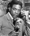 Howard E. Rollins Jr.