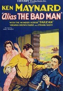 Alias the Bad Man poster image