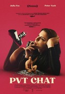 PVT Chat poster image