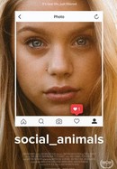 Social Animals poster image