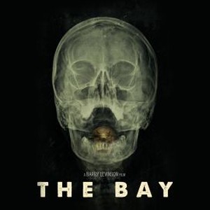 The Bay photo 14