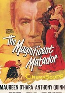 The Magnificent Matador poster image