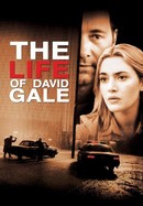 The Life of David Gale poster image