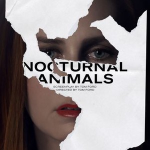 Nocturnal Animals Pictures - Rotten Tomatoes