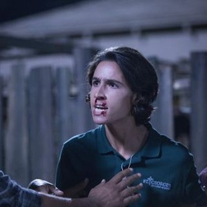 Lorenzo James Henrie - Rotten Tomatoes