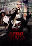 Afro Ninja poster image