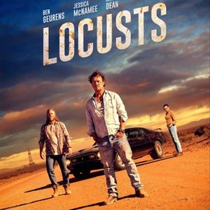 Locusts photo 8