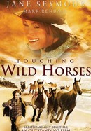 Touching Wild Horses poster image