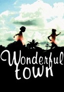 Wonderful Town poster image