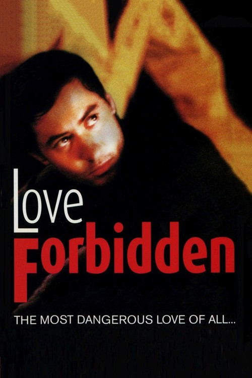 Love Forbidden poster
