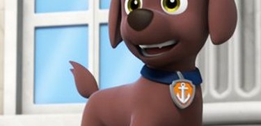 Paw Patrol: Pups Save the Day