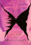Alas de mariposa poster image