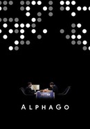 AlphaGo poster image
