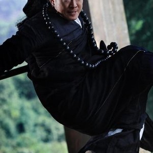 The Sorcerer and the White Snake (2011)