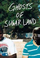 Ghosts of Sugar Land poster image