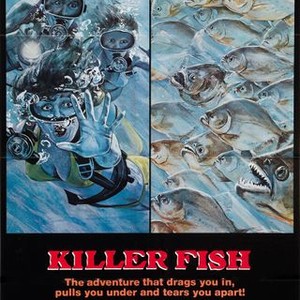 Killer Fish (1979) photo 14