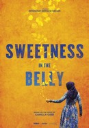 Sweetness in the Belly poster image