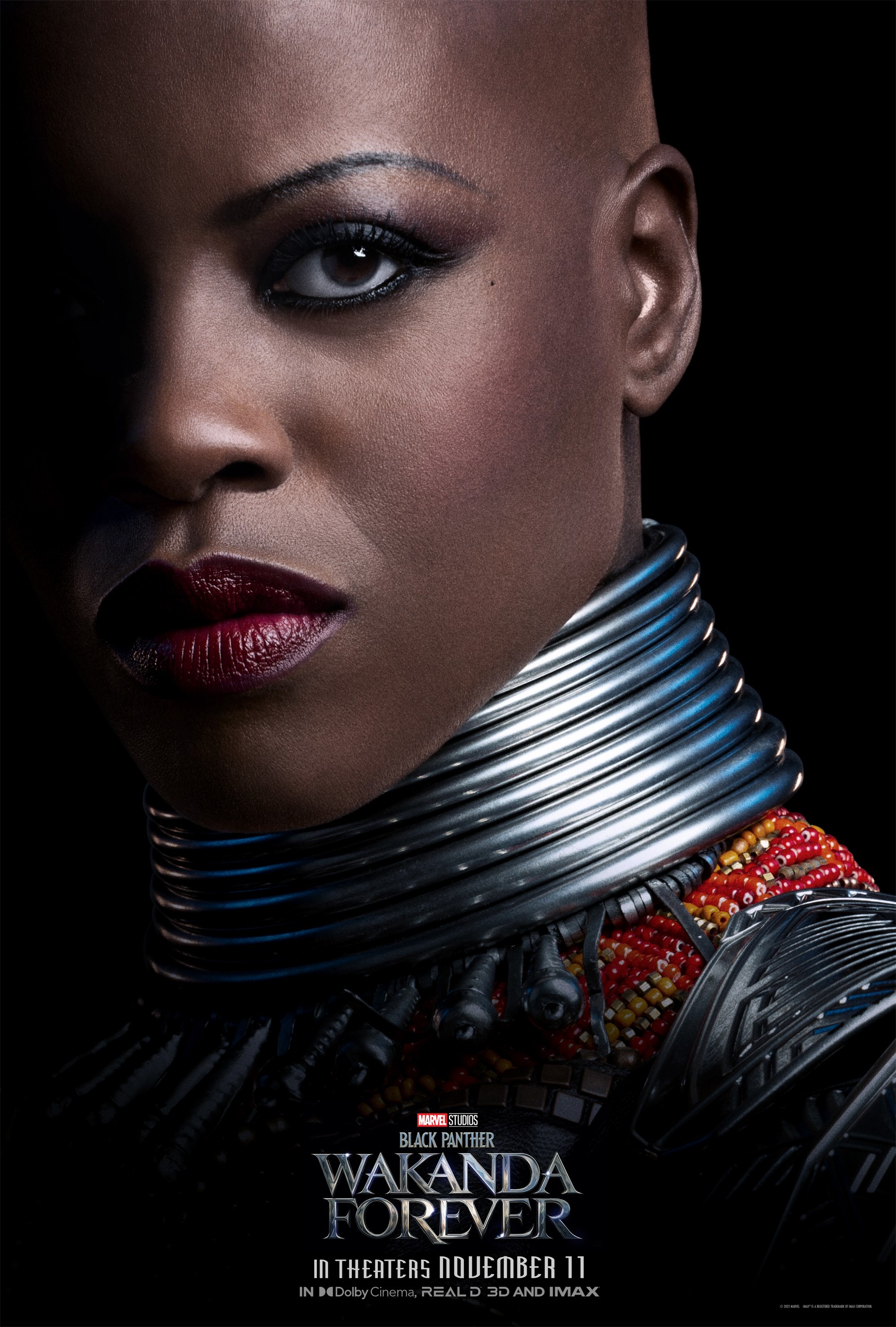 "Black Panther: Wakanda Forever photo 13"