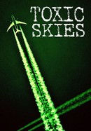 Toxic Skies poster image
