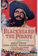 Blackbeard, the Pirate poster image