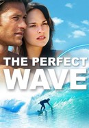 The Perfect Wave poster image