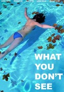 What You Don't See poster image