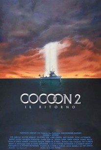 Cocoon: The Return poster
