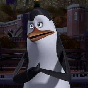 driving penguins of madagascar rico