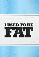 I Used to Be Fat poster image
