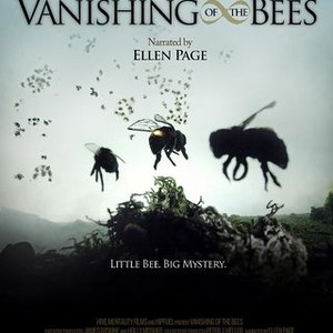 Vanishing of the Bees (2009)